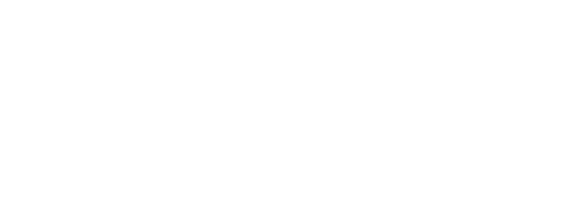 Ntuthuko Biz Connect